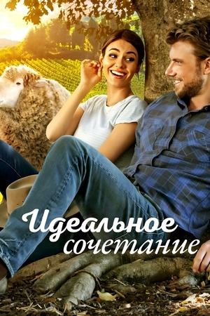 Идеальное сочетание | A Perfect Pairing (2022)