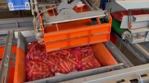 Паллетоукладчик RON-1200 укладка мешков с морковью