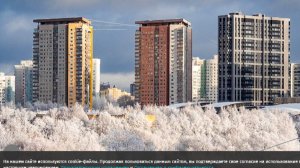 Синоптик предупредила о самых холодных ночах 1–2 января в Москве и Подмосковье