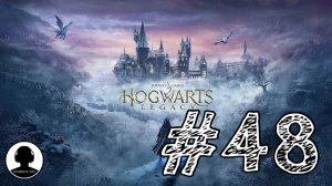 ИССЛЕДУЕМ ХОГСМИД! Прохождение #48 - Хогвартс: Наследие.