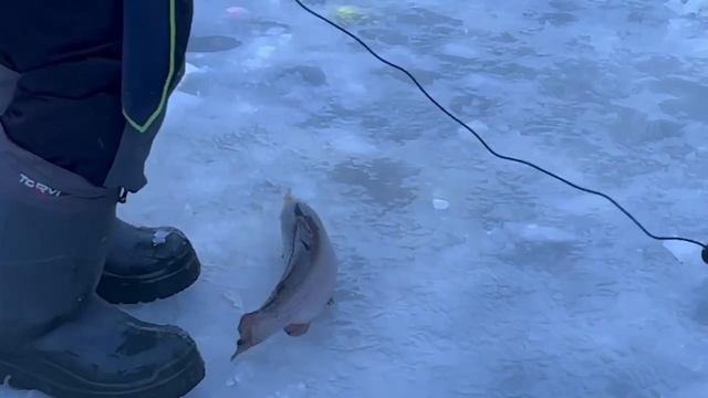 29.12.25 г. РК Волна. смотреть онлайн