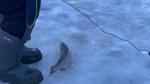 29.12.25 г. РК Волна.