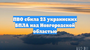 Силы ПВО ВС России сбили 23 БПЛА ВСУ за два часа над Новгородской областью