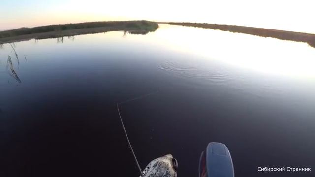 Перепробовал кучу приманок. Самый жор был на закате. смотреть онлайн