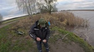 Pождественская вимба (РЫБЕЦ) на фидер (2025 LIELUPE)