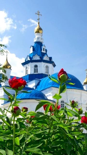 Душевный лекарь#Церковь#shortvideo#shorts#Молитва#Православие смотреть онлайн