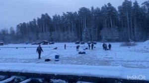 29.12 - запуск форели