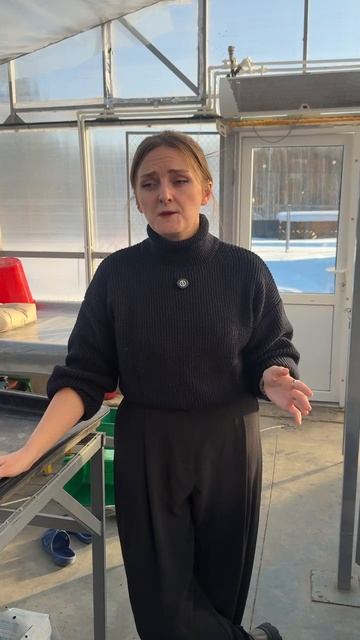 ПРО СИНЮЮ МАЛИНУ И КЛУБНИЧНОЕ ДЕРЕВО смотреть онлайн