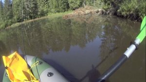 На пакрафте