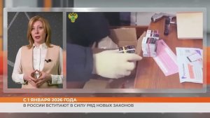 В России вступают в силу ряд новых законов