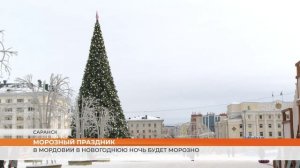 Жителей Мордовии ждёт морозная новогодняя ночь