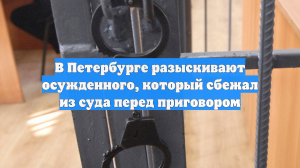 В Петербурге разыскивают осужденного, который сбежал из суда перед приговором