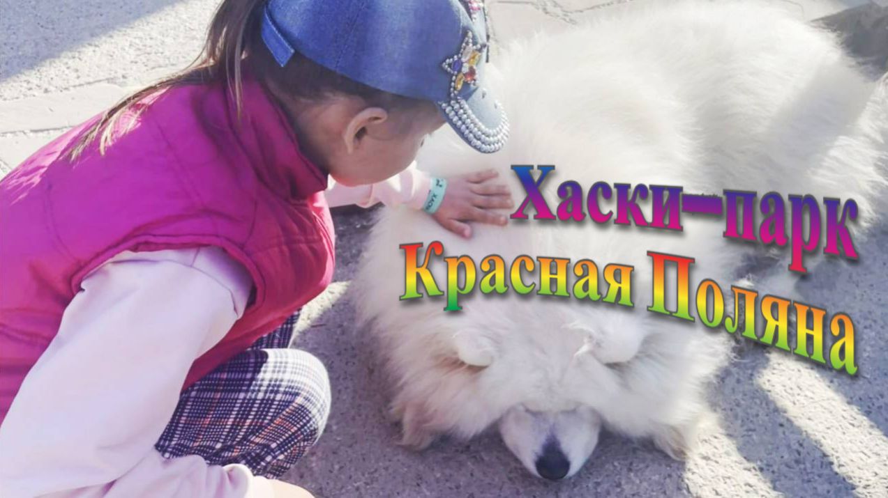 Хаски-парк в Красной поляне! Как весело провести время с ребенком смотреть онлайн