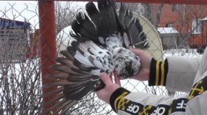 Вспоминаем.