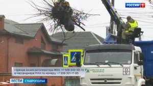 Регоператор «ЖКХ» усилит контроль за вывозом мусора во время новогодних праздников