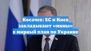 Сенатор Косачев: ЕС и Киев закладывают мины в мирный план по Украине