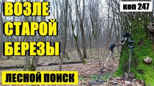 СИГНАЛ ОДИН ЗА ДРУГИМ, НО БЕГАЮЩИЕ ДЕВУШКИ НЕМНОЖКО ОТВЛЕКАЮТ. коп 247