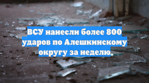 ВСУ нанесли более 800 ударов по Алешкинскому округу за неделю