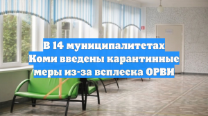 В 14 муниципалитетах Коми введены карантинные меры из-за всплеска ОРВИ