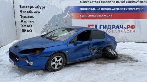 Обзор перед разбором Peugeot 407