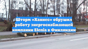 Шторм «Ханнес» обрушил работу энергоснабжающей компании Elenia в Финляндии
