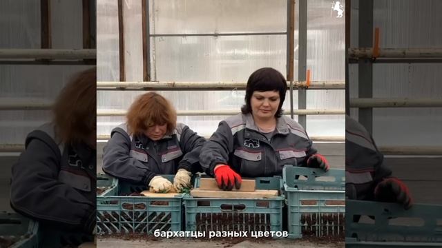 ❄️ За окном зима, а в теплицах — уже весна! смотреть онлайн