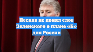 Песков не понял слов Зеленского о плане «Б» для России