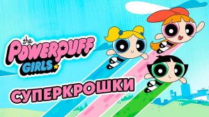 Суперкрошки – 2 сезон 33 серия «Пестик и большое ограбление» / The Powerpuff Girls