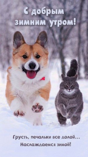 пол это лава