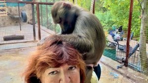 Мы собирались к малышам, но зашли к Люсе-я думала выйду из вольера без волос, стилист еще тот)))