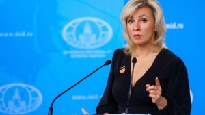 Захарова: в посольство Финляндии передадут "Черную книгу" о русофобии