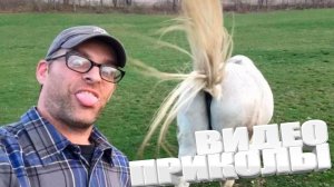 ЛУЧШИЕ ПРИКОЛЫ 2025 | ПРИКОЛЫ 2025 | СВЕЖИЕ ПРИКОЛЫ 2025 | РЖУ НЕ МОГУ |