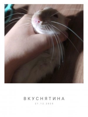 спасибо вам огромное