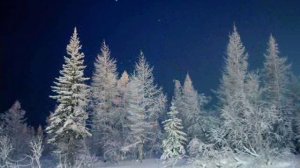 У леса на опушке