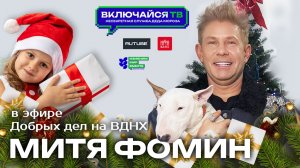 Митя Фомин. Несекретная служба Деда Мороза.