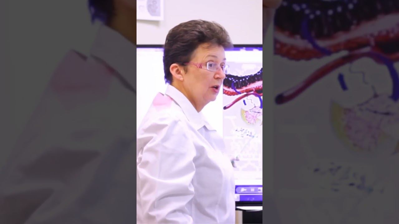 Сложная взаимосвязь между пищеварением и здоровьем опорно-двигательного аппарата смотреть онлайн