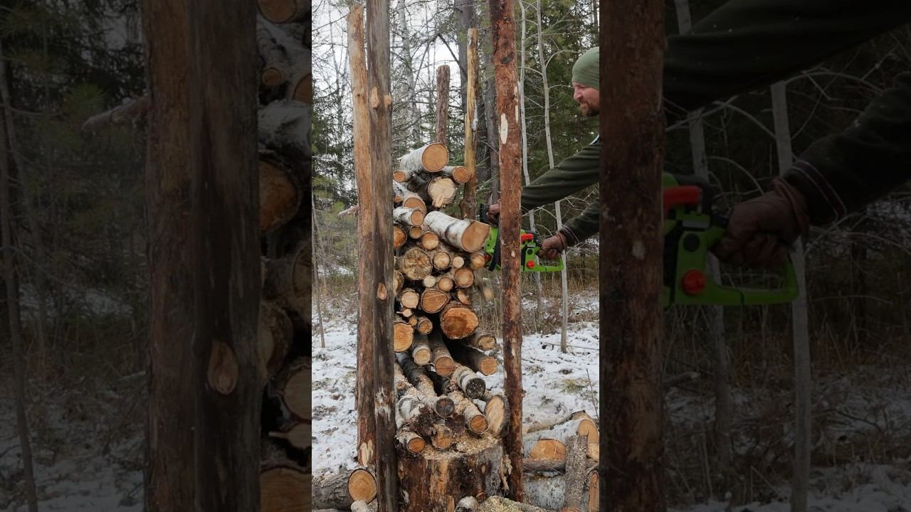 Мобильная ЛЕСОПИЛКА в ГЛУШИ за 15 минут! Секрет заготовки дров смотреть онлайн