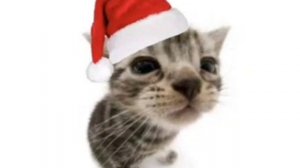 С Новым Годом!!! 🎄