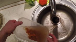 Как разделывать и есть морского ежа