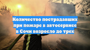 Количество пострадавших при пожаре в автосервисе в Сочи возросло до трех