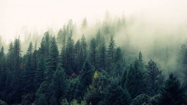 Сура 13 "Ар-Ра'д" красивое чтение Корана | Чтец: Мухаммад Люхайдан смотреть онлайн