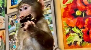 Анфиса устроила погром с Моной и попыталась разобраться с Лориком)))