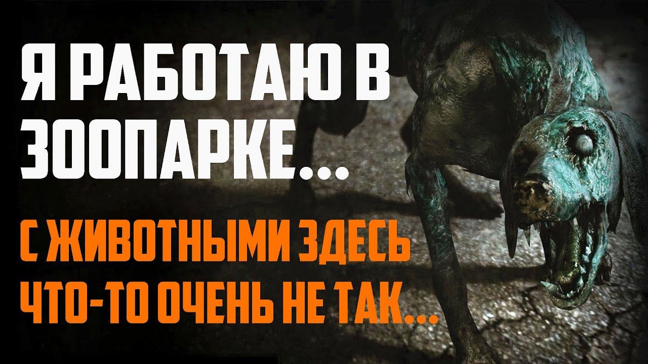 СТРАШНЫЕ ИСТОРИИ НА НОЧЬ - Я РАБОТАЮ В ЗООПАРКЕ И С ЖИВОТНЫМИ ЗДЕСЬ ЧТО-ТО ОЧЕНЬ НЕ ТАК - СТРАШИЛКИ смотреть онлайн