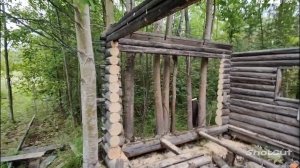 Продолжаем заготовку дров.