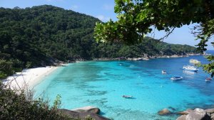 Посольство РФ в Таиланде: правила въезда в страну для россиян не менялись