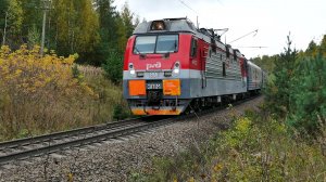 Электровоз ЭП1М-801 с почтовым поездом на перегоне Шониха - разъезд 296 км