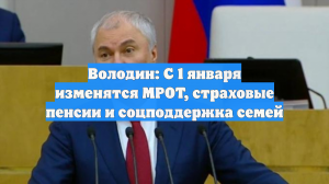 Что изменится с января 2026 года: Володин рассказал о новых законах