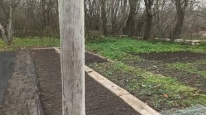 1-3 декабря 2025г.Начала загораживать огород. Разобрала стенку в пристройке. Домашние дела.