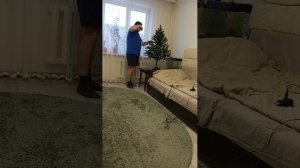 Здравствуй ёлка - новый год!🎄