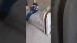 мой брат с гитарой